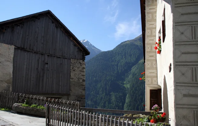 Buy House in Guarda